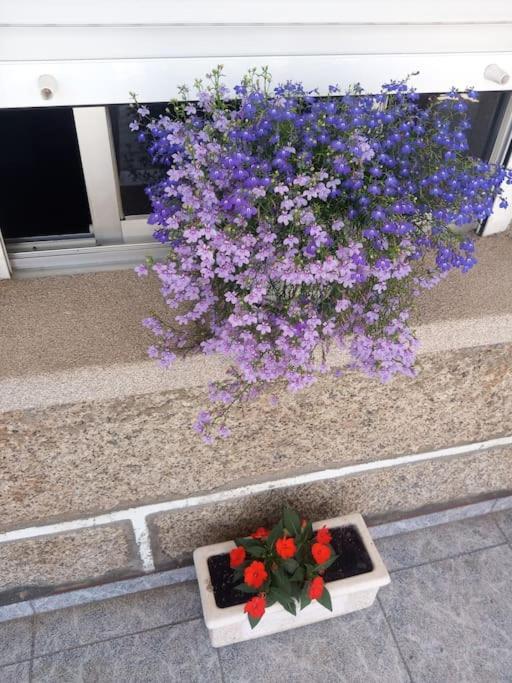 Apartamento En San Vicente De O Grove Luaran gambar