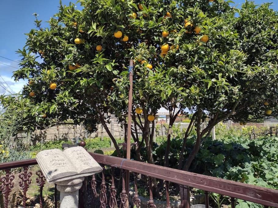 Apartamento En San Vicente De O Grove Luaran gambar